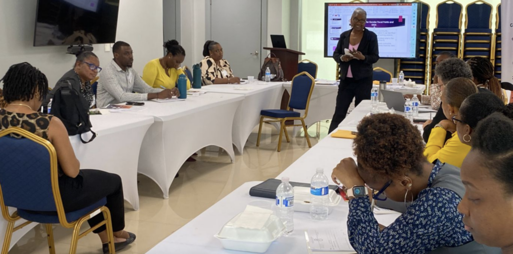 Gov’t hosts workshop to advance gender equality within its offices